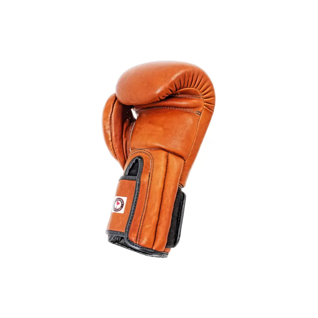 Windy Muay Thai gloves brown