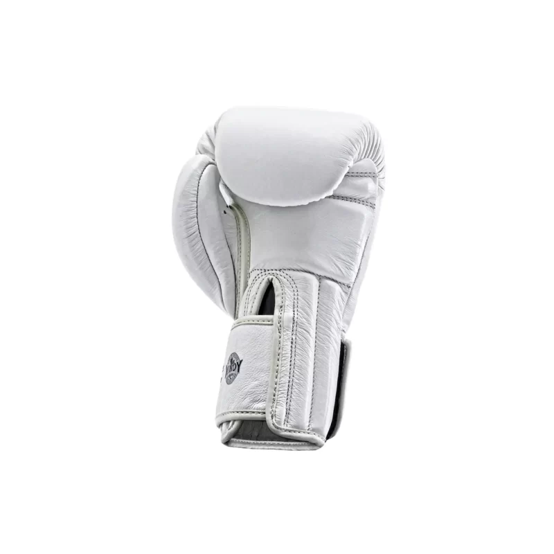 Windy Muay Thai gloves white