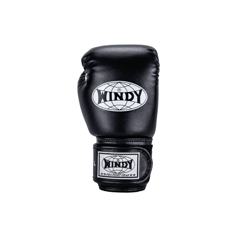 Windy Kids Boxing Gloves front view