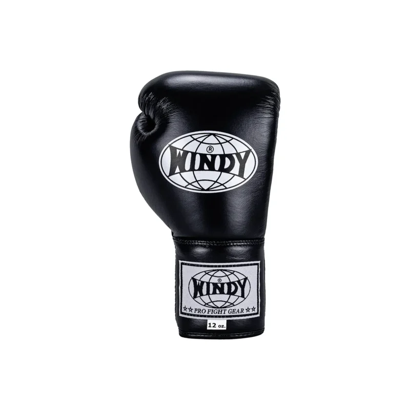 Windy Pro Boxing Gloves front view