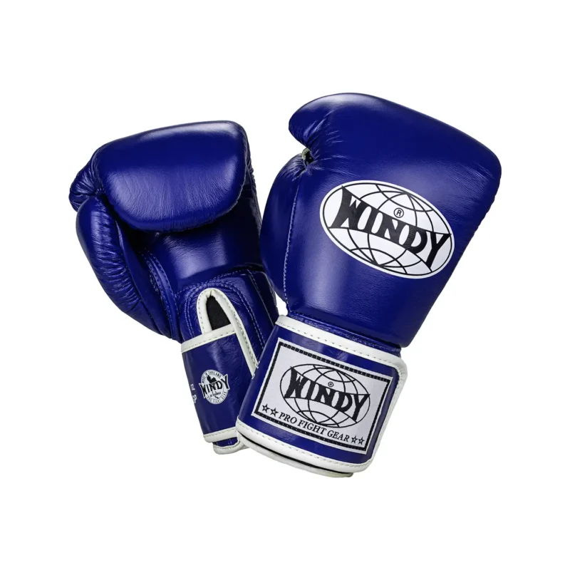 Windy Muay Thai Gloves Blue front and back view