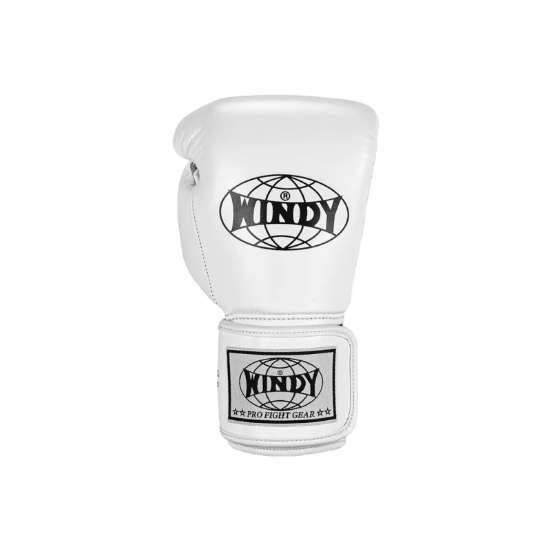 Windy Muay Thai Gloves White front view
