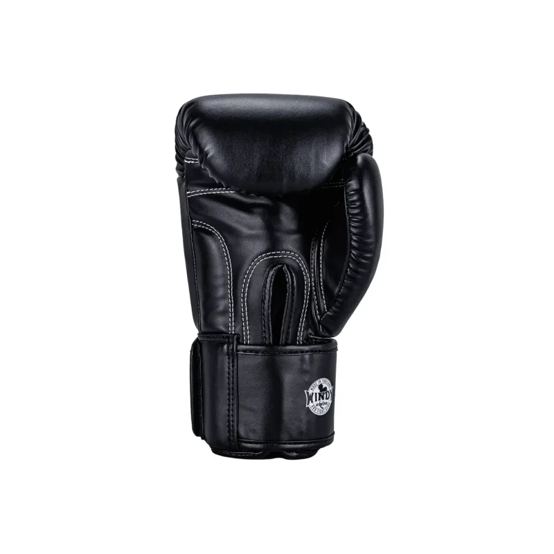 Windy Training Boxing Gloves Black back view