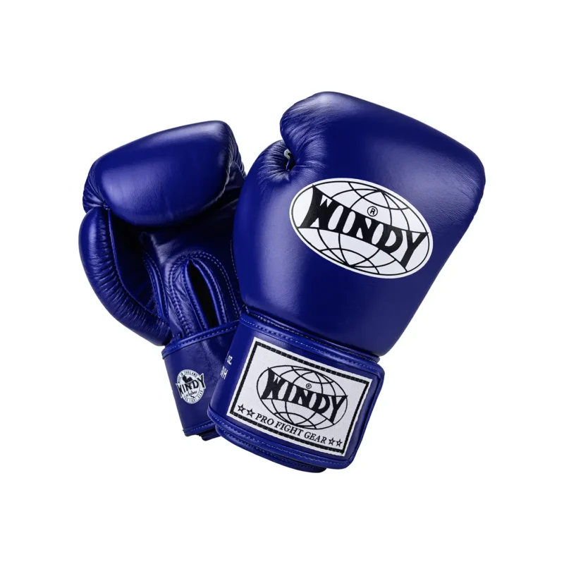 Windy Training Boxing Gloves Blue front and back view