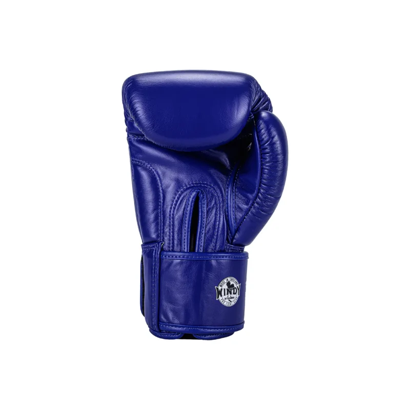 Windy Training Boxing Gloves Blue back view