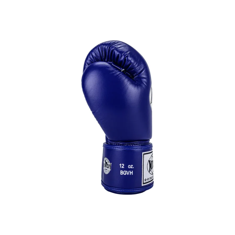 Windy Training Boxing Gloves Blue left side view