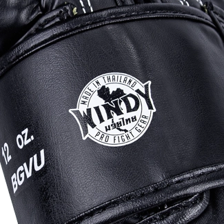 Windy Training Boxing Gloves Black Authenticity Seal