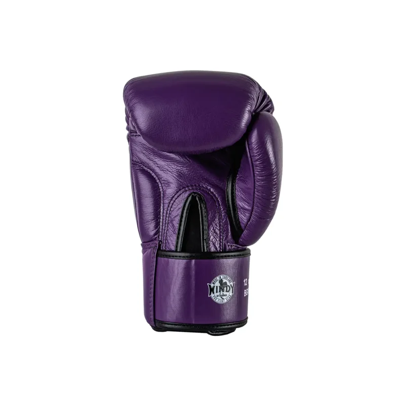Windy Boxing Glove Back Right View