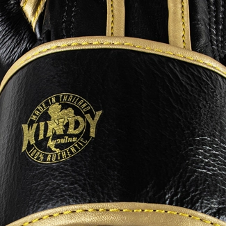Windy Boxing Glove Black Gold Authentic Tag