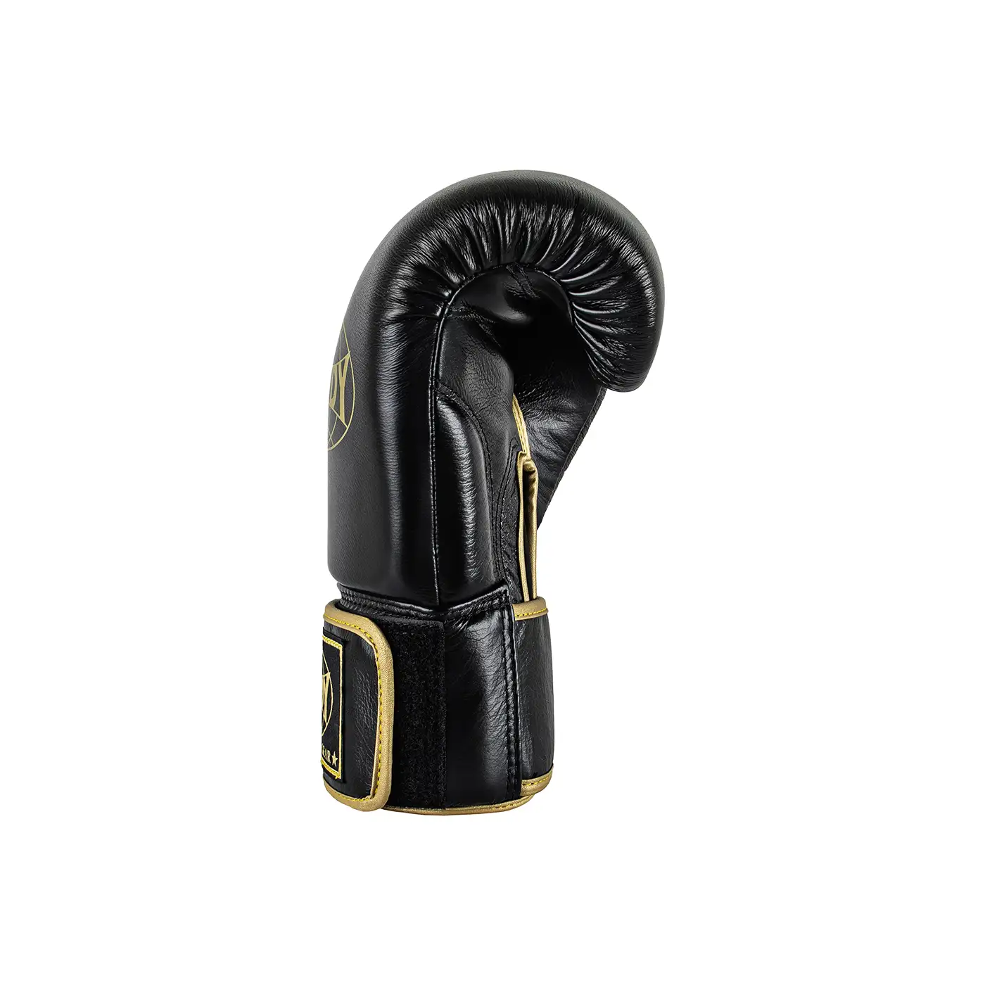 Windy Boxing Glove Black Gold Right View