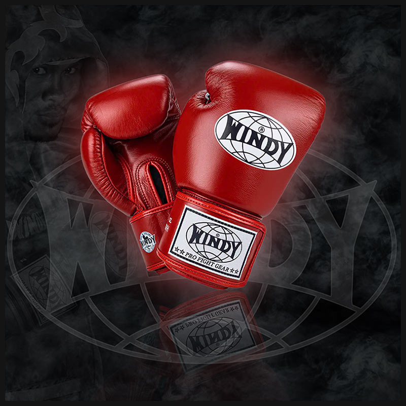 Windy Boxing Gloves BGVH