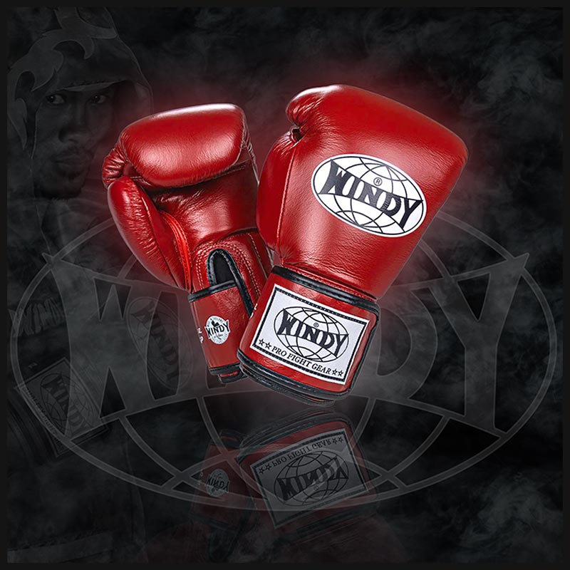 Wind Muay Thai Gloves BGP
